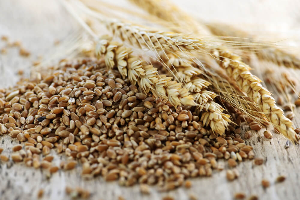 buğday kepeği faydaları