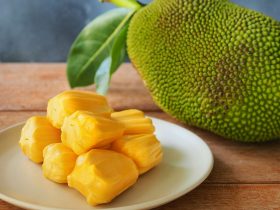 jackfruit faydaları
